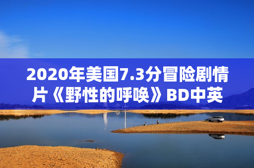 2020年美国7.3分冒险剧情片《野性的呼唤》BD中英双字