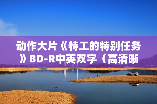 动作大片《特工的特别任务》BD-R中英双字（高清晰版）