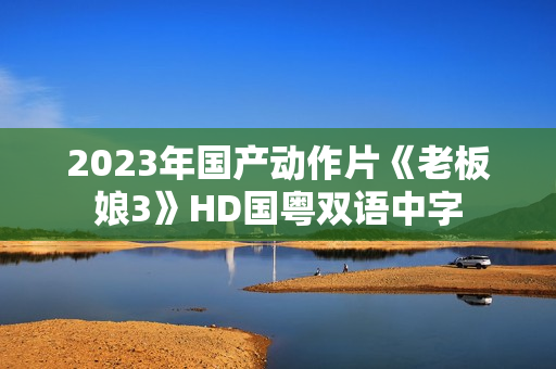 2023年国产动作片《老板娘3》HD国粤双语中字
