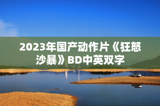 2023年国产动作片《狂怒沙暴》BD中英双字