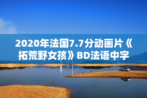 2020年法国7.7分动画片《拓荒野女孩》BD法语中字