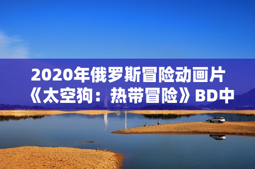 2020年俄罗斯冒险动画片《太空狗：热带冒险》BD中英双字