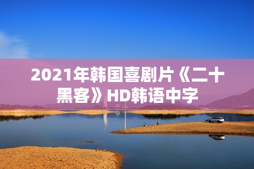 2021年韩国喜剧片《二十黑客》HD韩语中字