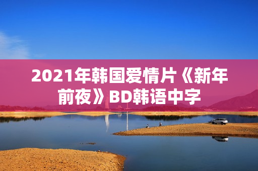 2021年韩国爱情片《新年前夜》BD韩语中字