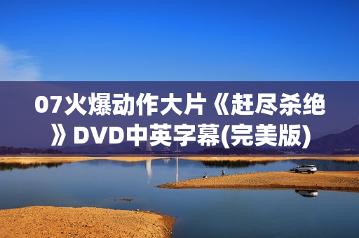 07火爆动作大片《赶尽杀绝》DVD中英字幕(完美版)