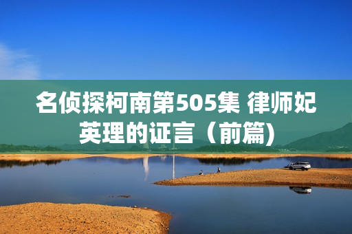 名侦探柯南第505集 律师妃英理的证言（前篇)