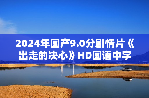 2024年国产9.0分剧情片《出走的决心》HD国语中字