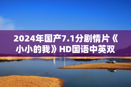 2024年国产7.1分剧情片《小小的我》HD国语中英双字