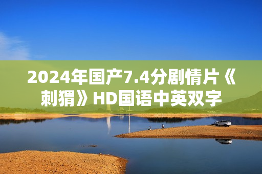 2024年国产7.4分剧情片《刺猬》HD国语中英双字