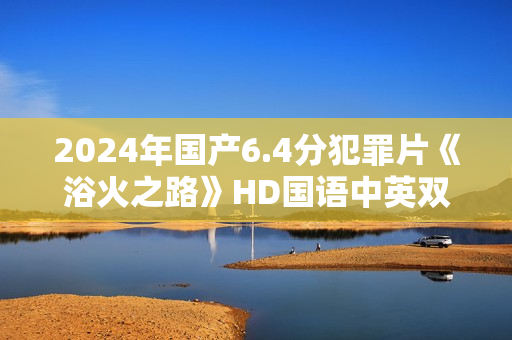 2024年国产6.4分犯罪片《浴火之路》HD国语中英双字