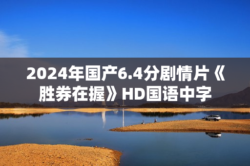 2024年国产6.4分剧情片《胜券在握》HD国语中字