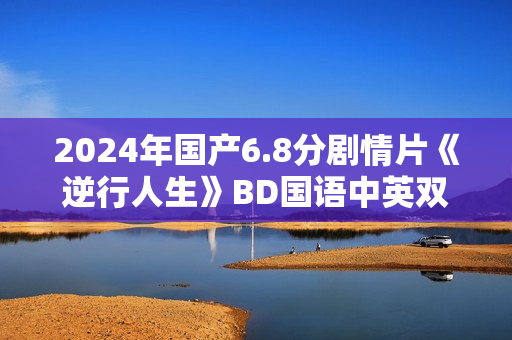 2024年国产6.8分剧情片《逆行人生》BD国语中英双字