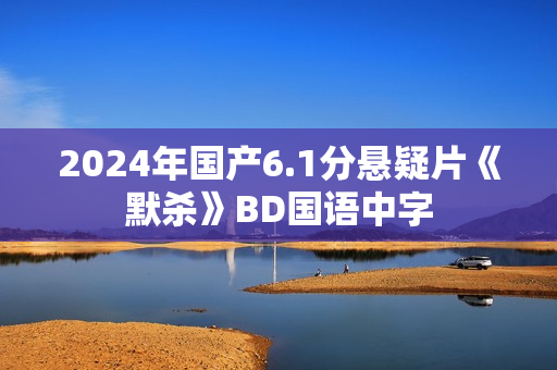 2024年国产6.1分悬疑片《默杀》BD国语中字