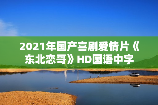 2021年国产喜剧爱情片《东北恋哥》HD国语中字
