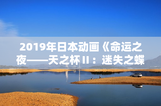 2019年日本动画《命运之夜——天之杯Ⅱ：迷失之蝶》BD日语中字