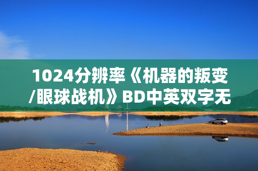 1024分辨率《机器的叛变/眼球战机》BD中英双字无水印