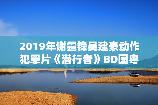 2019年谢霆锋吴建豪动作犯罪片《潜行者》BD国粤双语中字