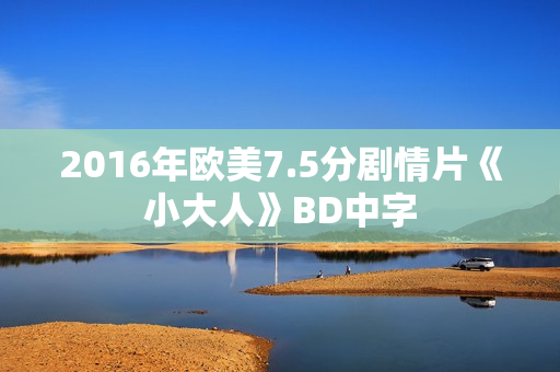 2016年欧美7.5分剧情片《小大人》BD中字