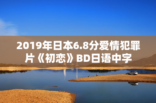 2019年日本6.8分爱情犯罪片《初恋》BD日语中字