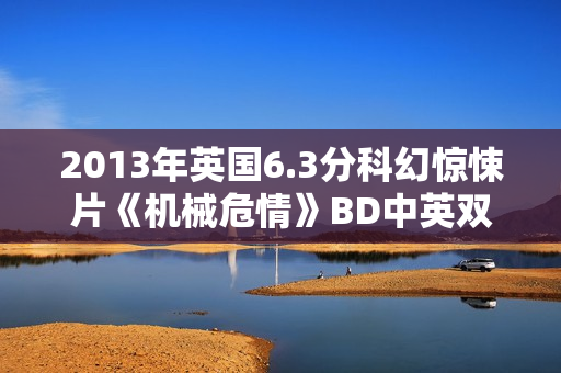 2013年英国6.3分科幻惊悚片《机械危情》BD中英双字