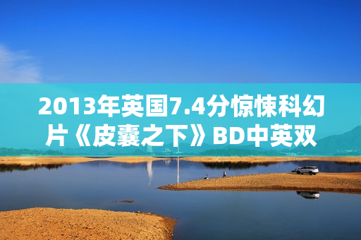 2013年英国7.4分惊悚科幻片《皮囊之下》BD中英双字