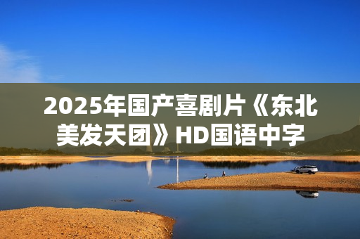 2025年国产喜剧片《东北美发天团》HD国语中字
