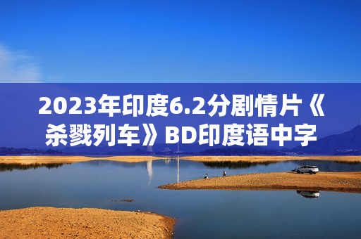 2023年印度6.2分剧情片《杀戮列车》BD印度语中字