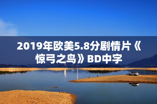 2019年欧美5.8分剧情片《惊弓之鸟》BD中字