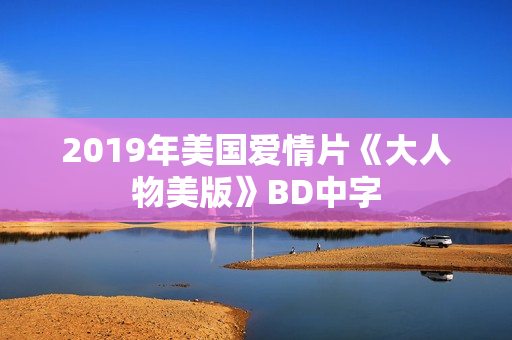 2019年美国爱情片《大人物美版》BD中字