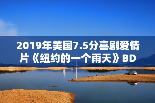 2019年美国7.5分喜剧爱情片《纽约的一个雨天》BD中字