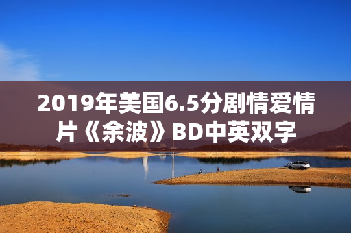2019年美国6.5分剧情爱情片《余波》BD中英双字