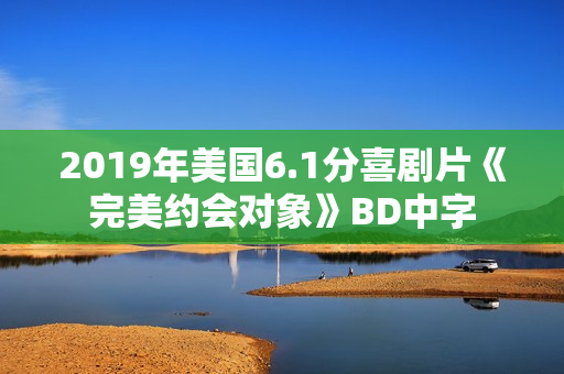 2019年美国6.1分喜剧片《完美约会对象》BD中字