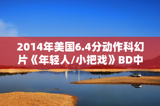 2014年美国6.4分动作科幻片《年轻人/小把戏》BD中英双字