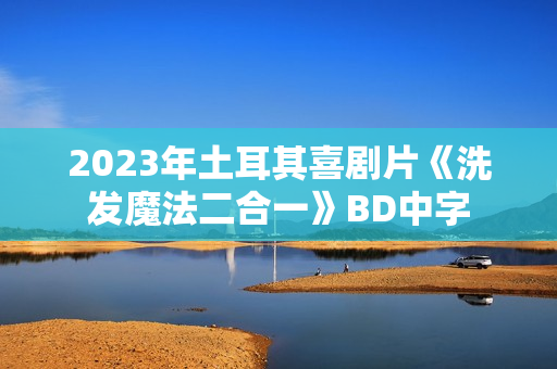2023年土耳其喜剧片《洗发魔法二合一》BD中字