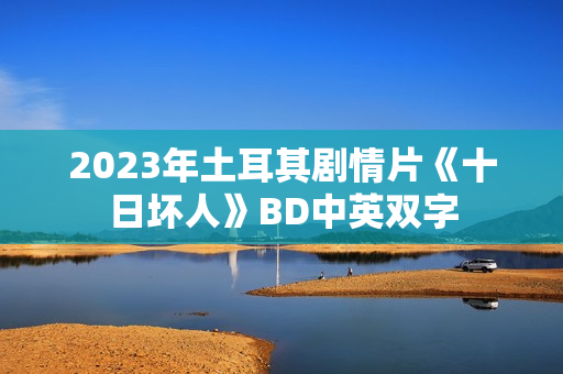 2023年土耳其剧情片《十日坏人》BD中英双字