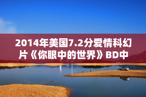 2014年美国7.2分爱情科幻片《你眼中的世界》BD中英双字
