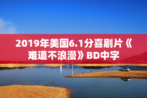 2019年美国6.1分喜剧片《难道不浪漫》BD中字