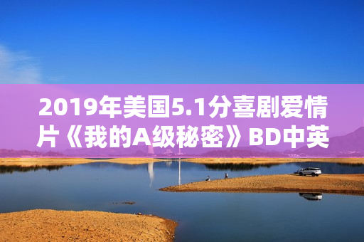 2019年美国5.1分喜剧爱情片《我的A级秘密》BD中英双字