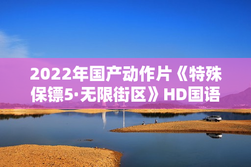 2022年国产动作片《特殊保镖5·无限街区》HD国语中字