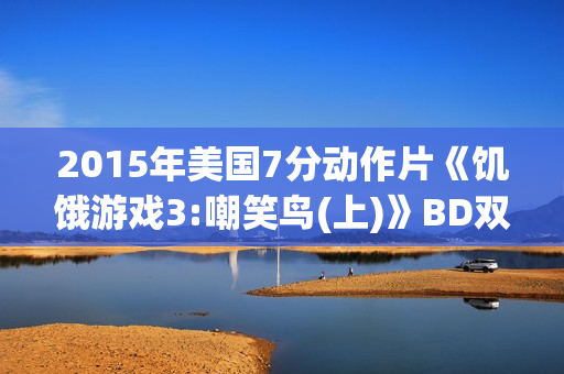 2015年美国7分动作片《饥饿游戏3:嘲笑鸟(上)》BD双语双字