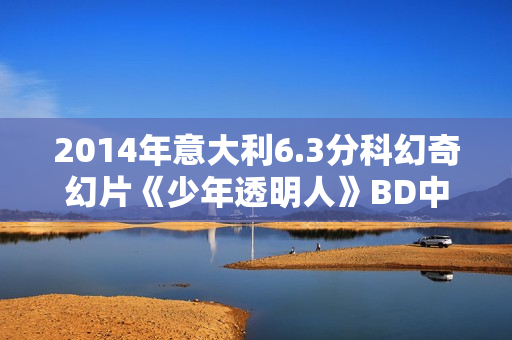 2014年意大利6.3分科幻奇幻片《少年透明人》BD中英双字