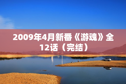 2009年4月新番《游魂》全12话（完结）