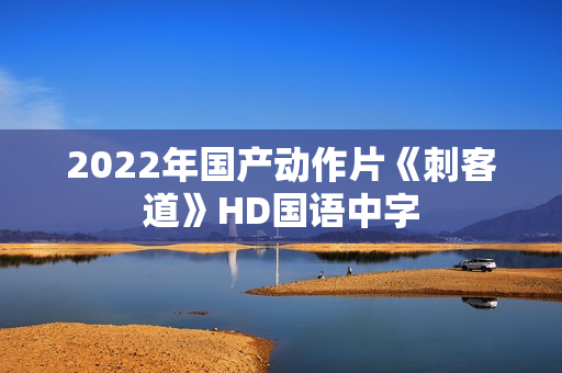 2022年国产动作片《刺客道》HD国语中字