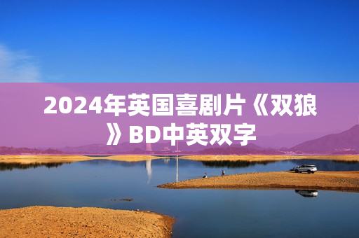 2024年英国喜剧片《双狼》BD中英双字