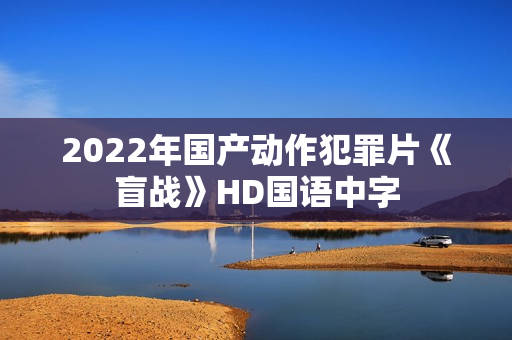 2022年国产动作犯罪片《盲战》HD国语中字