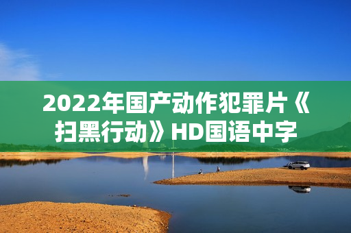 2022年国产动作犯罪片《扫黑行动》HD国语中字