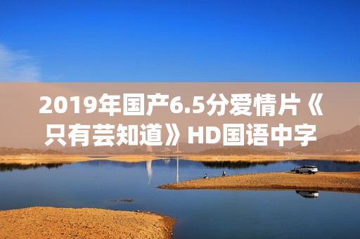 2019年国产6.5分爱情片《只有芸知道》HD国语中字修复版