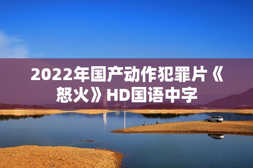 2022年国产动作犯罪片《怒火》HD国语中字
