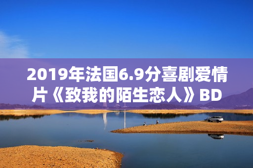 2019年法国6.9分喜剧爱情片《致我的陌生恋人》BD中字