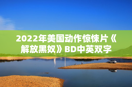 2022年美国动作惊悚片《解放黑奴》BD中英双字
